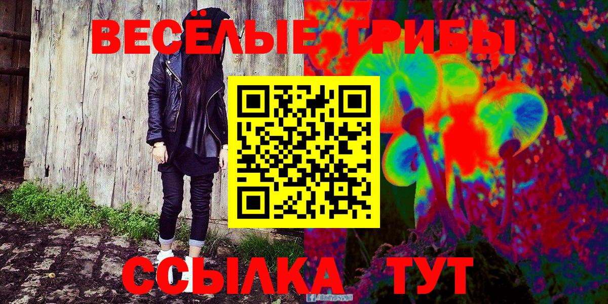 Псилоцибиновые грибы мицелий Камень-на-Оби