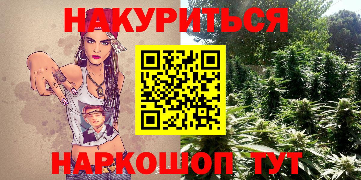 Бошки Шишки планчик  Бошки Шишки Bruce Banner  Камень-на-Оби  Вход с VPN  Шишки марихуана индика 